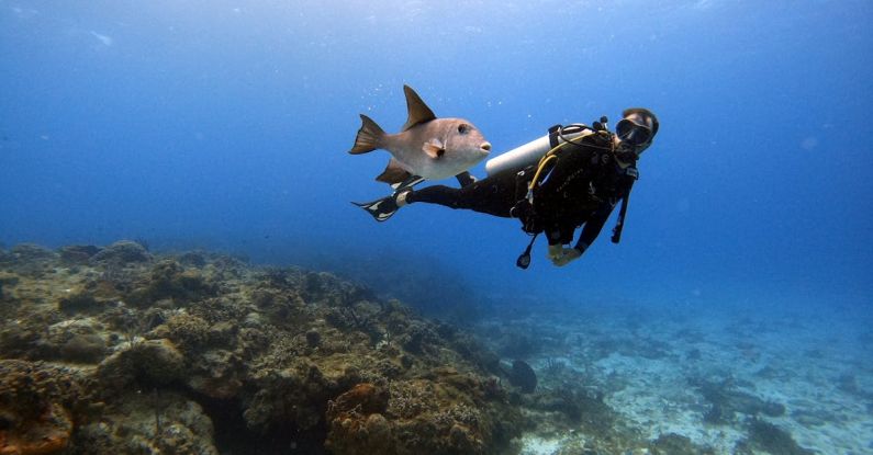 Cozumel Diving - Scuba Diver Swimming with Fish