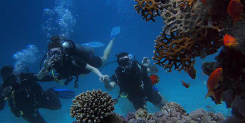 Red Sea - Three People Diving On Body Of Water