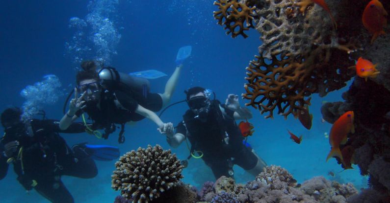 Red Sea - Three People Diving On Body Of Water