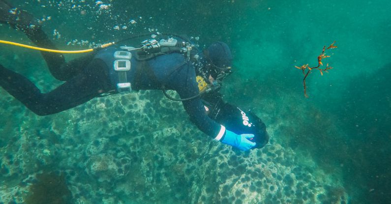 Underwater Scooter - A Scuba Diver with an Underwater Scooter