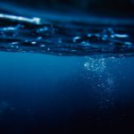 Night Diving - Going Underwater at Night