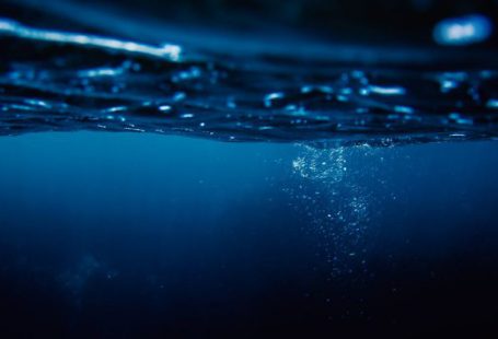 Night Diving - Going Underwater at Night