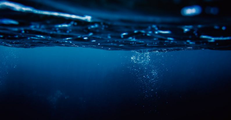 Night Diving - Going Underwater at Night