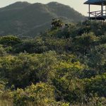 Roatan Honduras - A small hut sits on top of a hill