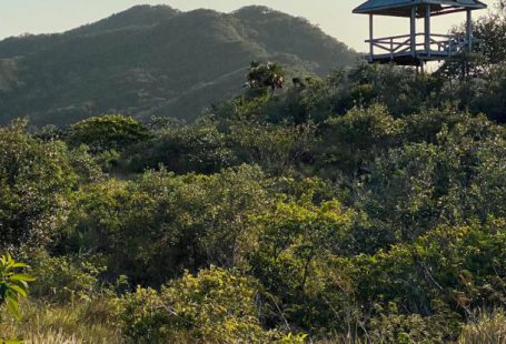 Roatan Honduras - A small hut sits on top of a hill