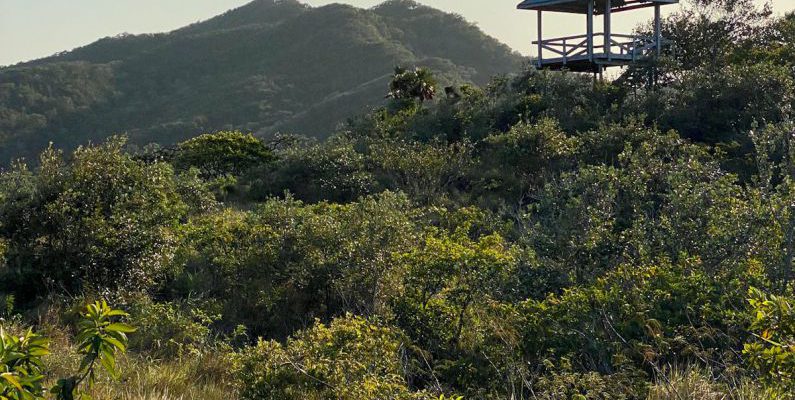 Roatan Honduras - A small hut sits on top of a hill