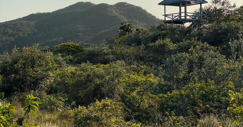 Roatan Honduras - A small hut sits on top of a hill