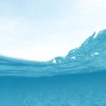 Snorkeling Transition - Man Diving on Body of Water