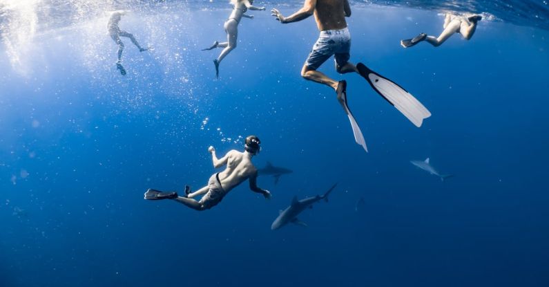 Sharks Diving - A People Underwater with Sharks