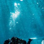 Nudibranchs Diving - Person on Body of Water