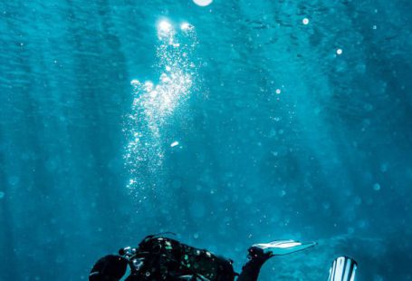 Nudibranchs Diving - Person on Body of Water