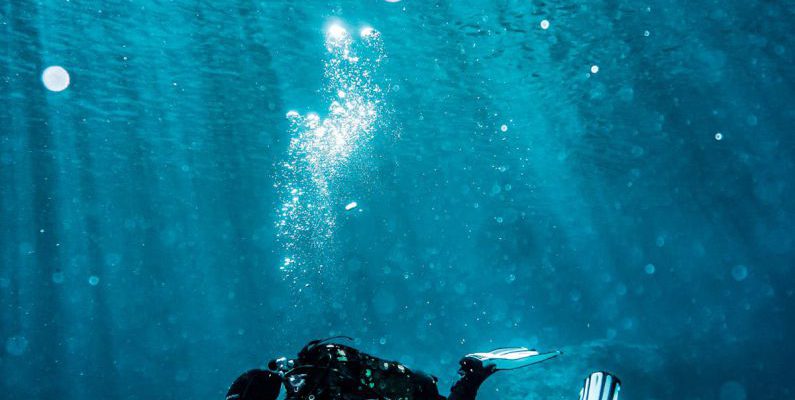 Nudibranchs Diving - Person on Body of Water