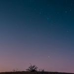 Plankton Ocean - Sea bay under starry sunset sky