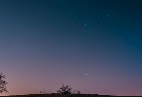 Plankton Ocean - Sea bay under starry sunset sky