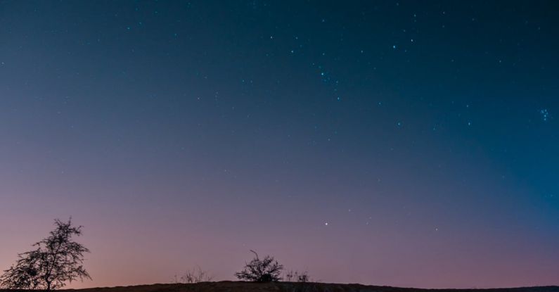 Plankton Ocean - Sea bay under starry sunset sky