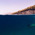 Thailand Diving - A person swimming in the ocean with a ball floating above them