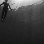 Dive Travel - Black and white of from below of scuba diver swimming in clear water in swimsuit under rays of light