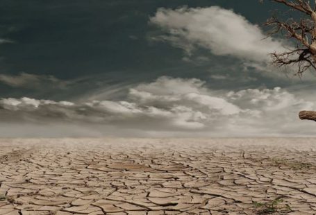 Climate Change - Photo of Brown Bare Tree on Brown Surface during Daytime