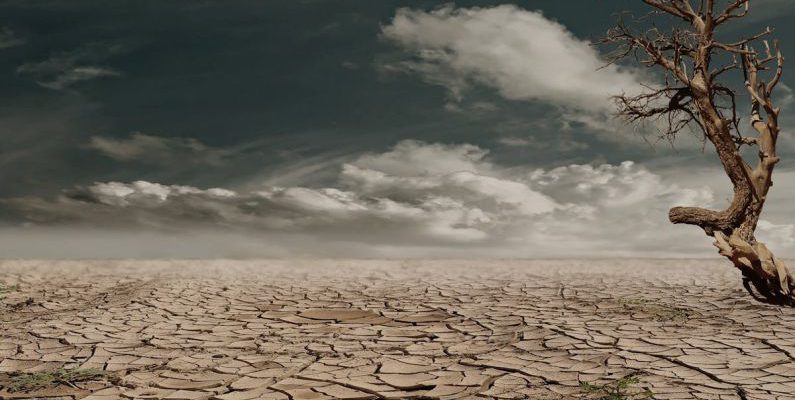 Climate Change - Photo of Brown Bare Tree on Brown Surface during Daytime