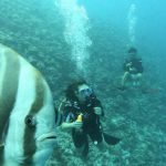 Maldives Underwater - Man in Black Wet Suit Under Water near Black and White Fish