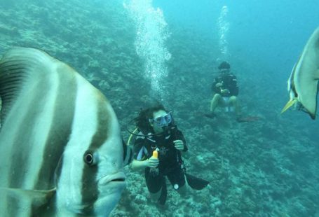 Maldives Underwater - Man in Black Wet Suit Under Water near Black and White Fish