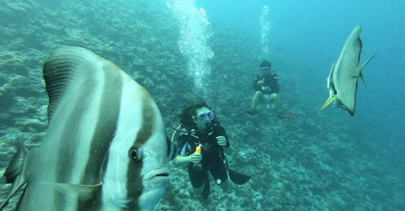 Maldives Underwater - Man in Black Wet Suit Under Water near Black and White Fish