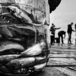 Ghost Fishing - Fishermen