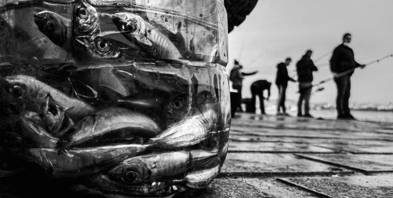 Ghost Fishing - Fishermen