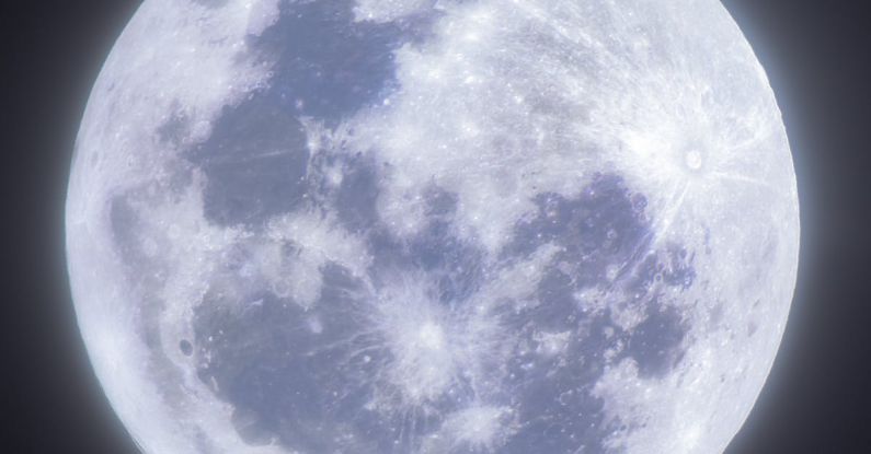 Citizen Science - A full moon is shown in the dark sky