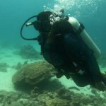 Rescue Diver - Bubblessss