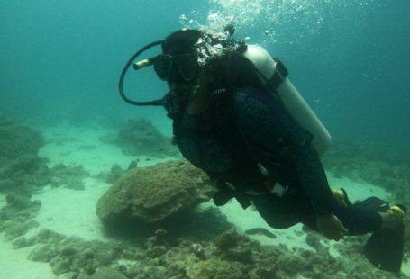 Rescue Diver - Bubblessss